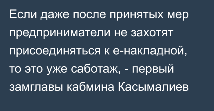 Если даже после принятых мер предприниматели не захотят присоединяться к e-накладной, то это уже саботаж, - первый замглавы кабмина Касымалиев