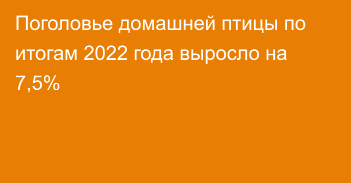 Поголовье домашней птицы по итогам 2022 года выросло на 7,5%