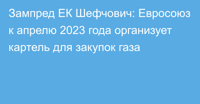 Зампред ЕК Шефчович: Евросоюз к апрелю 2023 года организует картель для закупок газа