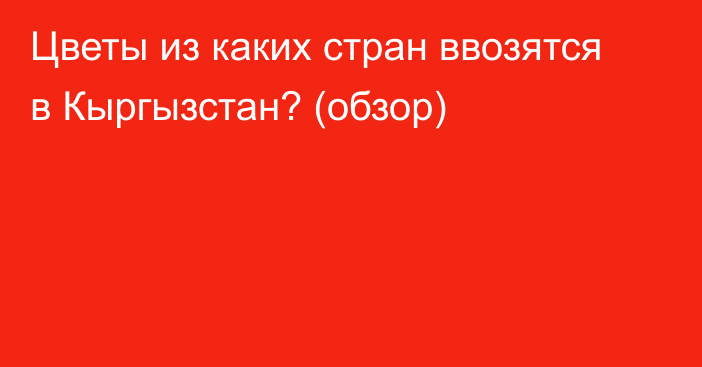 Цветы из каких стран ввозятся в Кыргызстан? (обзор)