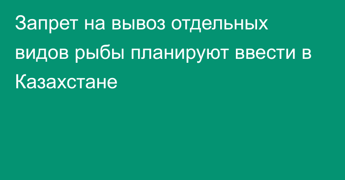 Запрет на вывоз отдельных видов рыбы планируют ввести в Казахстане