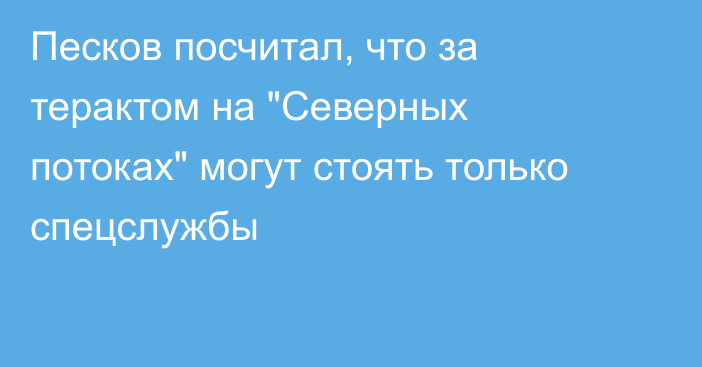 Песков посчитал, что за терактом на 