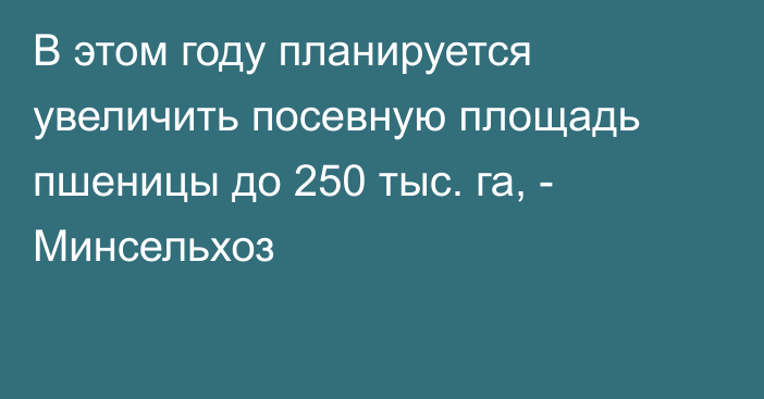 В этом году планируется увеличить посевную площадь пшеницы до 250 тыс. га, - Минсельхоз