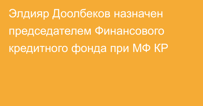 Элдияр Доолбеков назначен председателем Финансового кредитного фонда при МФ КР