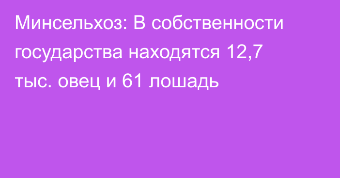 Минсельхоз: В собственности государства находятся 12,7 тыс. овец и 61 лошадь