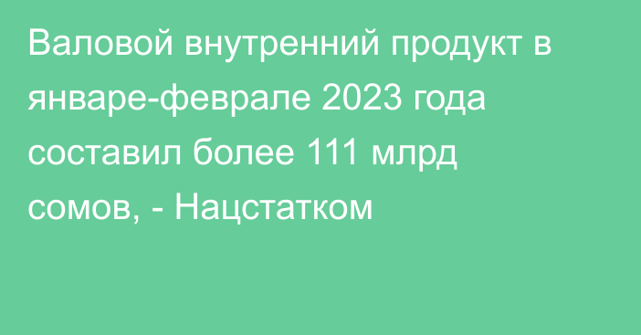 Валовой внутренний продукт в январе-феврале 2023 года составил более 111 млрд сомов, - Нацстатком