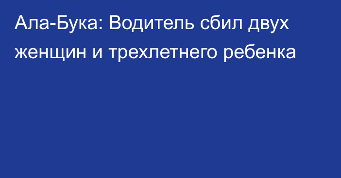 Ала-Бука: Водитель сбил двух женщин и трехлетнего ребенка