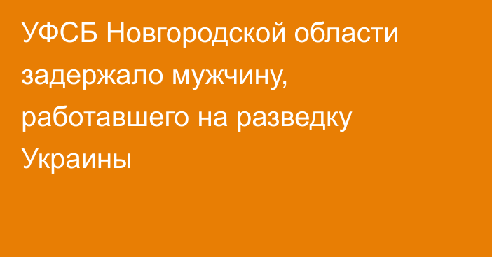 УФСБ Новгородской области задержало мужчину, работавшего на разведку Украины