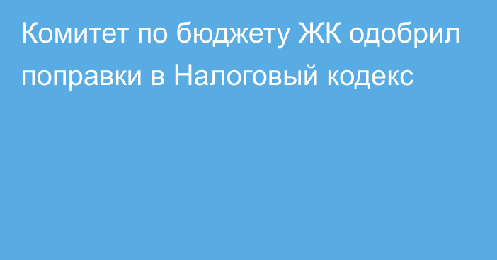 Комитет по бюджету ЖК одобрил поправки в Налоговый кодекс