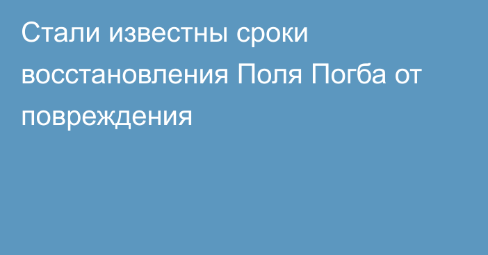 Стали известны сроки восстановления Поля Погба от повреждения