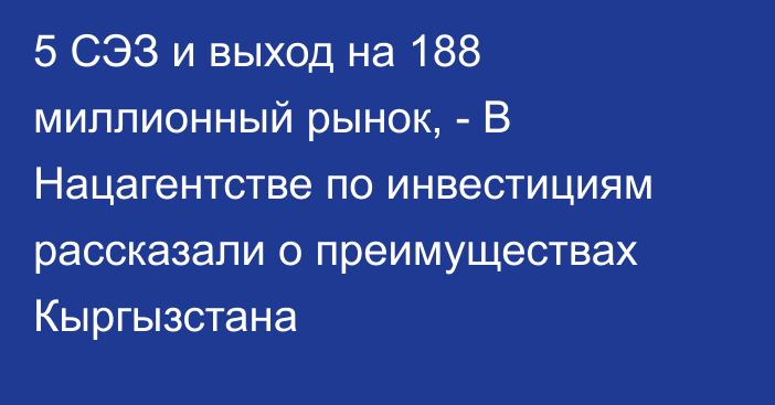 5 СЭЗ и выход на 188 миллионный рынок, - В Нацагентстве по инвестициям рассказали о преимуществах Кыргызстана