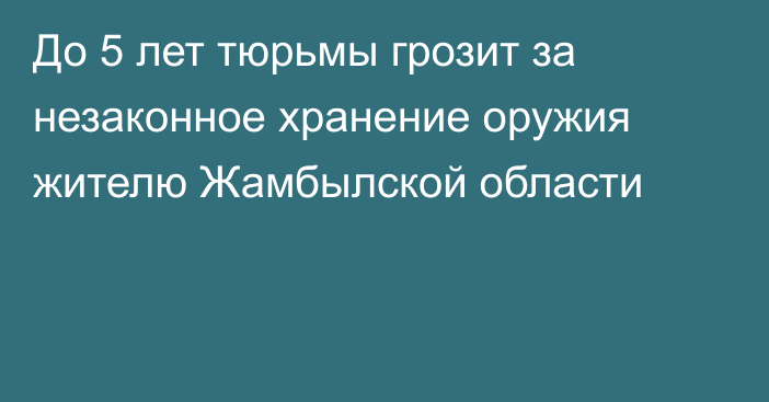 До 5 лет тюрьмы грозит за незаконное хранение оружия жителю Жамбылской области