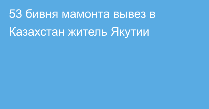 53 бивня мамонта вывез в Казахстан житель Якутии