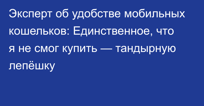 Эксперт об удобстве мобильных кошельков: Единственное, что я не смог купить — тандырную лепёшку