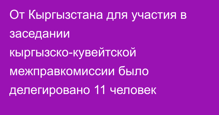 От Кыргызстана для участия в заседании кыргызско-кувейтской межправкомиссии было делегировано 11 человек