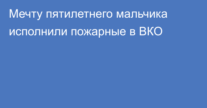 Мечту пятилетнего мальчика исполнили пожарные в ВКО