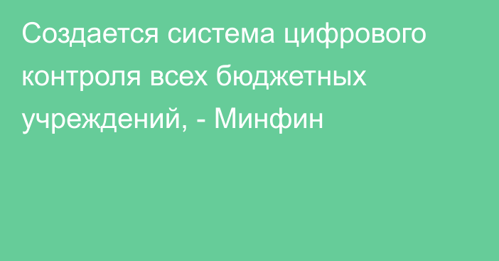 Создается система цифрового контроля всех бюджетных учреждений, - Минфин