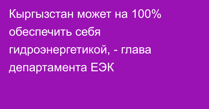 Кыргызстан может на 100% обеспечить себя гидроэнергетикой, - глава департамента ЕЭК