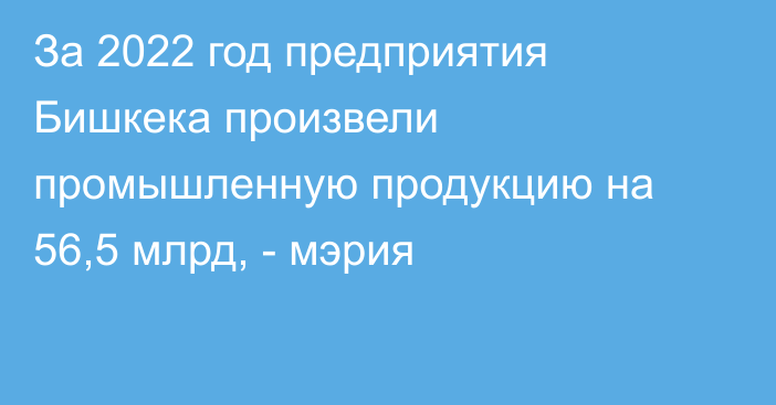 За 2022 год предприятия Бишкека произвели промышленную продукцию на 56,5 млрд, - мэрия