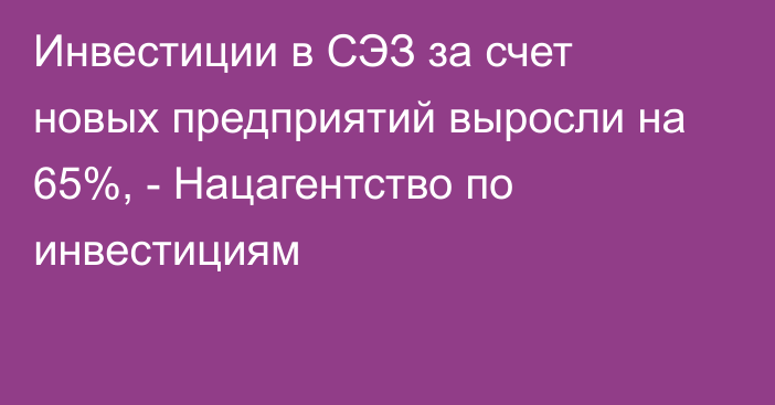 Инвестиции в СЭЗ за счет новых предприятий выросли на 65%, - Нацагентство по инвестициям