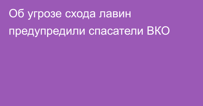 Об угрозе схода лавин предупредили спасатели ВКО