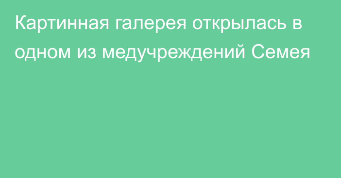 Картинная галерея открылась в одном из медучреждений Семея