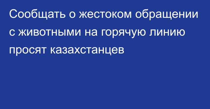 Сообщать о жестоком обращении с животными на горячую линию просят казахстанцев