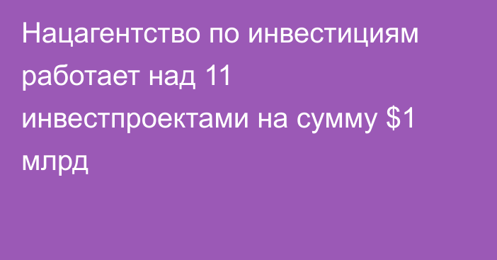 Нацагентство по инвестициям работает над 11 инвестпроектами на сумму $1 млрд