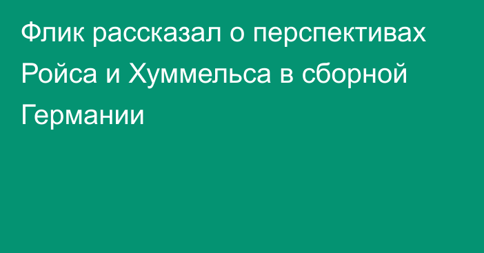 Флик рассказал о перспективах Ройса и Хуммельса в сборной Германии