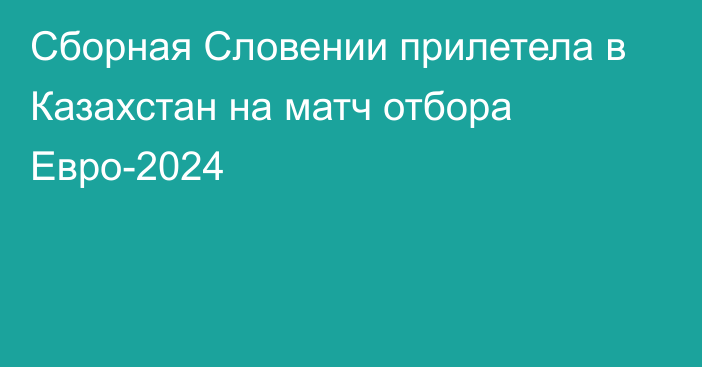 Сборная Словении прилетела в Казахстан на матч отбора Евро-2024