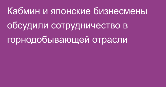 Кабмин и японские бизнесмены обсудили сотрудничество в горнодобывающей отрасли