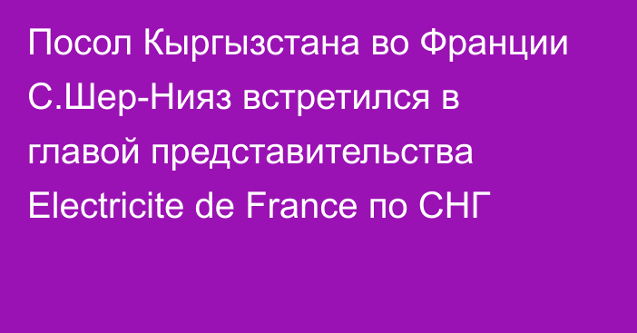 Посол Кыргызстана во Франции С.Шер-Нияз встретился в главой представительства Electricite de France по СНГ