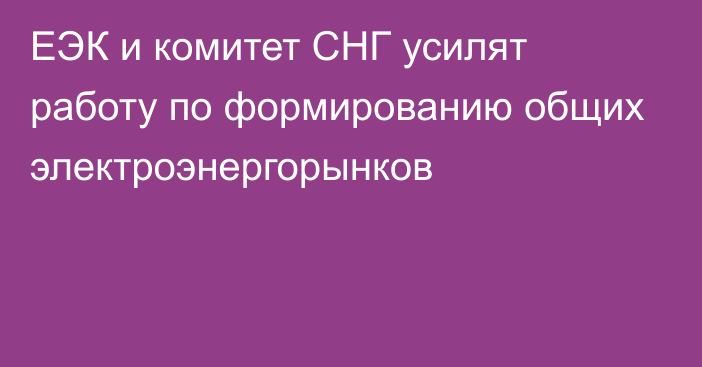 ЕЭК и комитет СНГ усилят работу по формированию общих электроэнергорынков