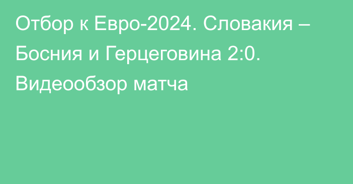 Отбор к Евро-2024. Словакия – Босния и Герцеговина 2:0. Видеообзор матча