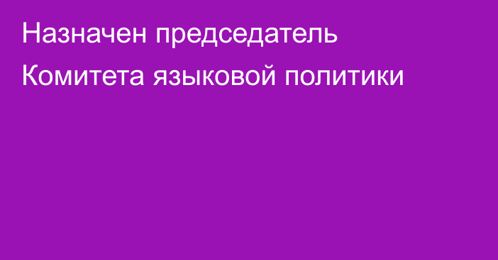 Назначен председатель Комитета языковой политики