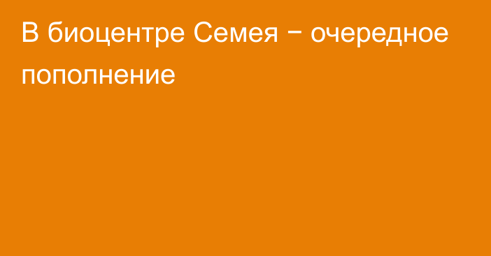 В биоцентре Семея − очередное пополнение