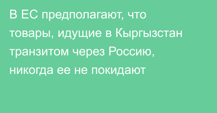 В ЕС предполагают, что товары, идущие в Кыргызстан транзитом через Россию, никогда ее не покидают