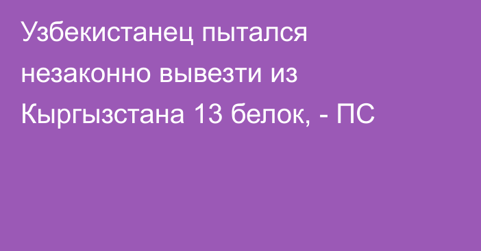 Узбекистанец пытался незаконно вывезти из Кыргызстана 13 белок, - ПС