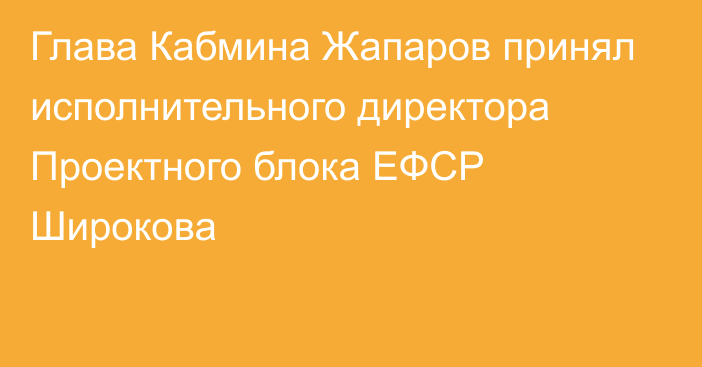 Глава Кабмина Жапаров принял исполнительного директора Проектного блока ЕФСР Широкова