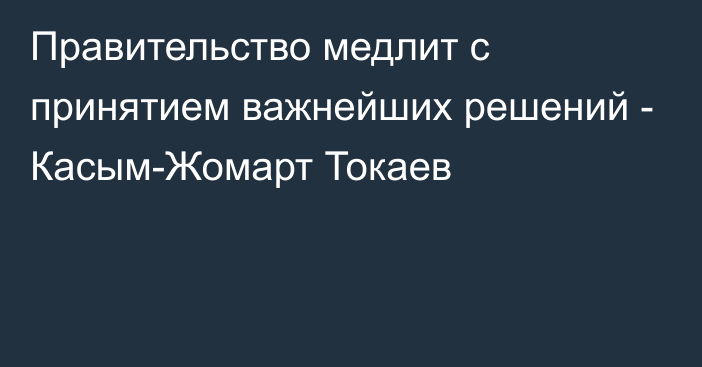 Правительство медлит с принятием важнейших решений - Касым-Жомарт Токаев