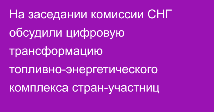 На заседании комиссии СНГ обсудили цифровую трансформацию топливно-энергетического комплекса стран-участниц