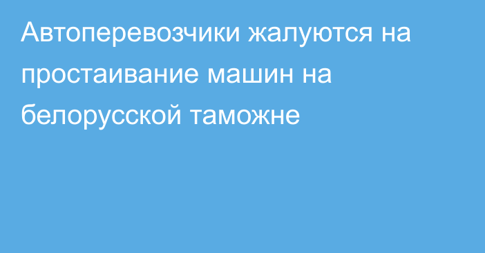 Автоперевозчики жалуются на простаивание машин на белорусской таможне