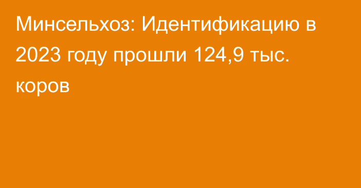 Минсельхоз: Идентификацию в 2023 году прошли 124,9 тыс. коров