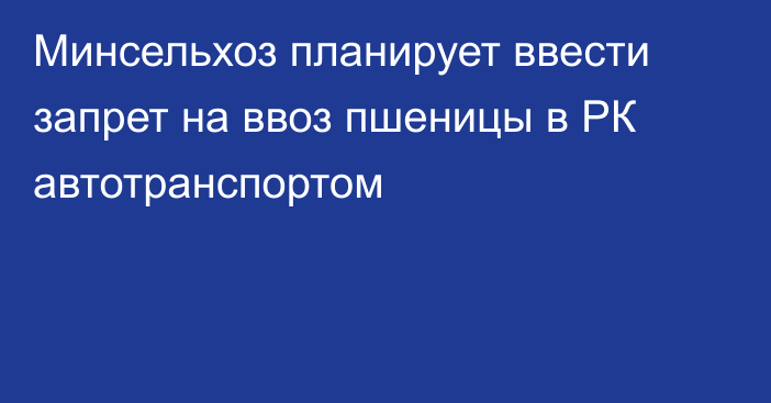 Минсельхоз планирует ввести запрет на ввоз пшеницы в РК автотранспортом