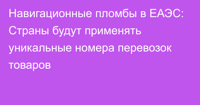 Навигационные пломбы в ЕАЭС: Страны будут применять уникальные номера перевозок товаров