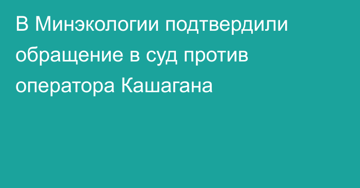 В Минэкологии подтвердили обращение в суд против оператора Кашагана