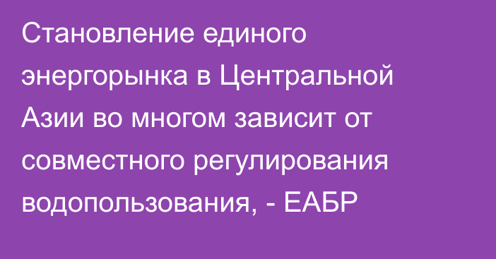 Становление единого энергорынка в Центральной Азии во многом зависит от совместного регулирования водопользования, - ЕАБР