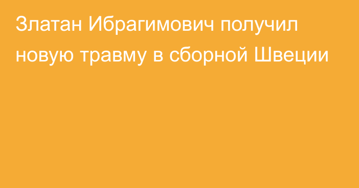 Златан Ибрагимович получил новую травму в сборной Швеции