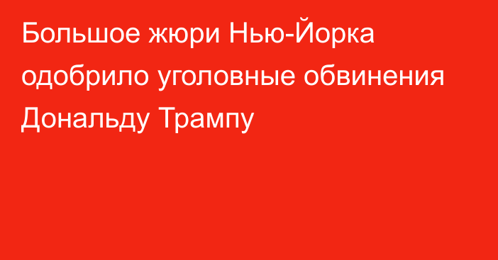 Большое жюри Нью-Йорка одобрило уголовные обвинения Дональду Трампу