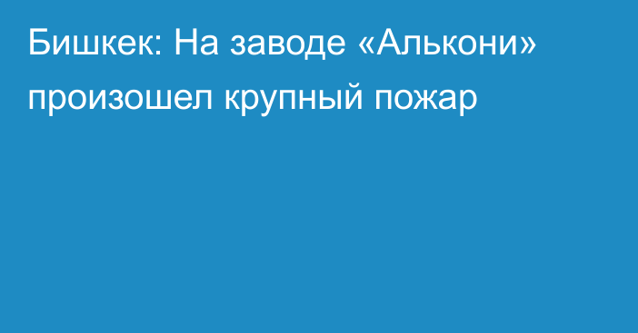 Бишкек: На заводе «Алькони» произошел крупный пожар